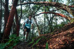 BIB: 
                            <button type="button" onclick="openModal(26344364)" class="btn btn-primary btn-sm float-right btn-popup" data-toggle="modal" data-target=".modal-high-quality">
                        <i class="fas fa-shopping-cart"></i> Add to Cart
                    </button>
                                            <button type="button" onclick="isThisMe(26344364, true)" class="btn btn-success btn-sm float-right btn-popup btn-isme hidden" data-toggle="tooltip" data-placement="bottom" title="นี่คือรูปของคุณใช่ไหม คลิกที่นี่เพื่อเอาเข้าอัลบั้ม">
                        <i class="fas fa-plus"></i> Add to album
                    </button>
                    <button type="button" onclick="isThisMe(26344364, false)" class="btn btn-warning btn-sm float-right btn-popup btn-isnotme hidden">
                        <i class="fas fa-ban"></i> Remove from album
                    </button>